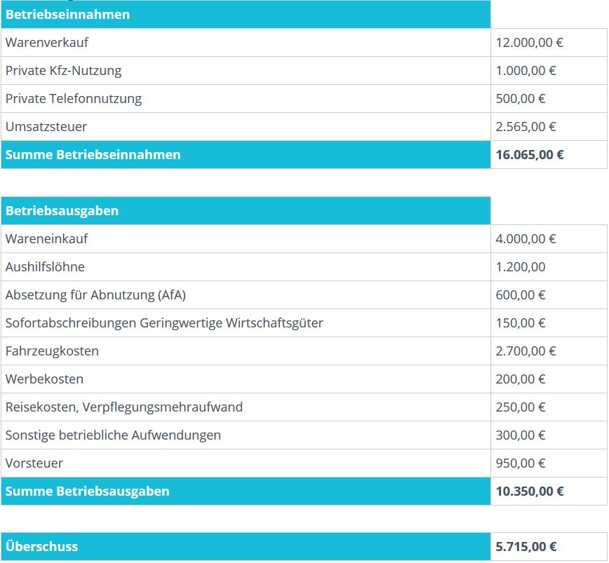 Gliederung der formlosen Einnahmenüberschussrechnung | microtech.de