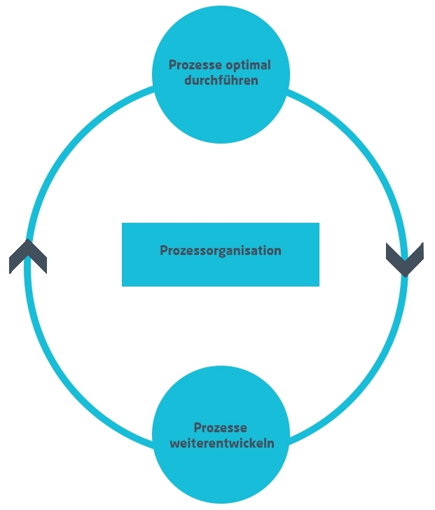 Prozessorganisation | Kreislauf | microtech.de