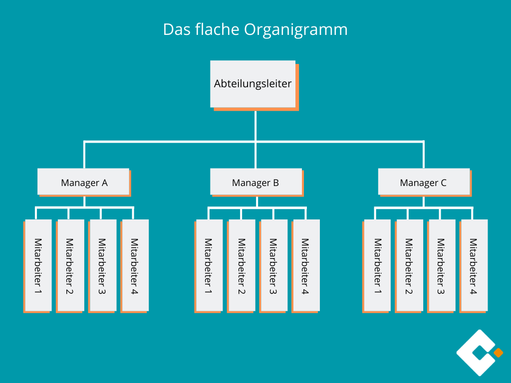 Das flache Organigramm