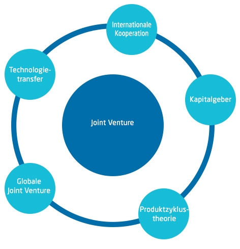 Grafik eines Joint Venture Beispiels