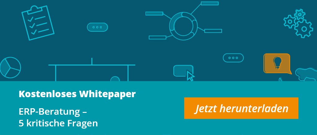 ERP-Beratung Whitepaper