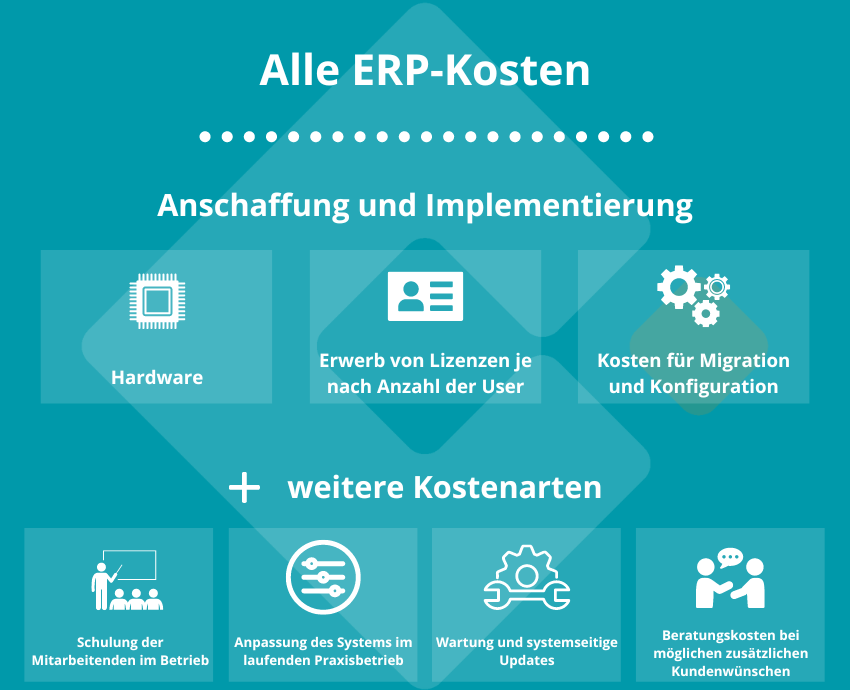 Kosten ERP-System